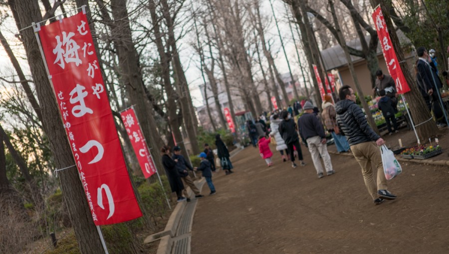 羽根木公園で世田谷梅まつり開催中 2 5次元ではたらく社長 濱田功志 のブログ